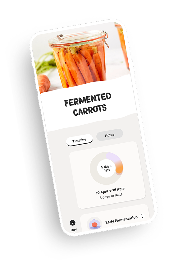 CultureBloom app showing Fermented Carrots with a 5-day timeline