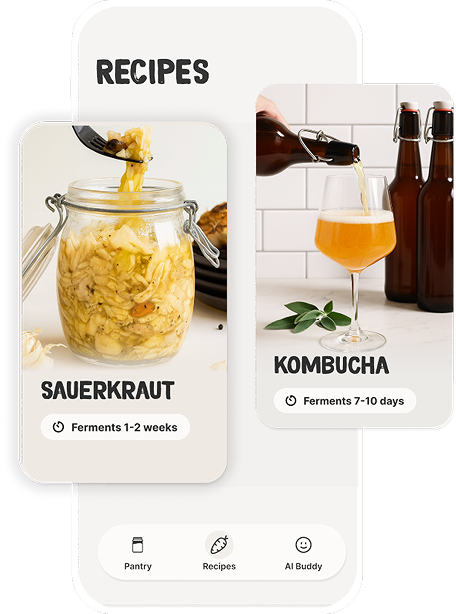 CultureBloom Recipes screen showing Sauerkraut and Kombucha