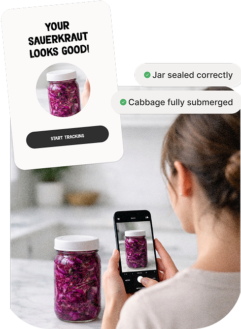 Visual assessment showing 'Your Sauerkraut Looks Good' with a checklist